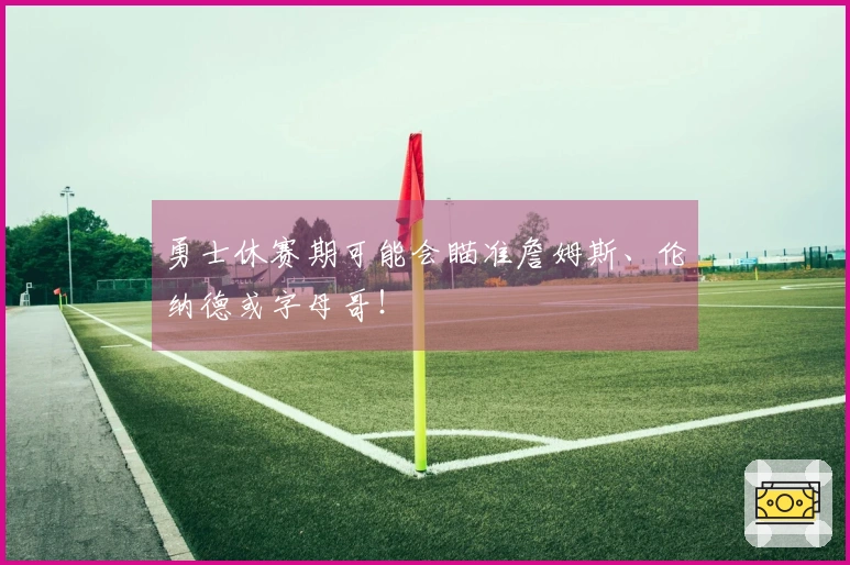 勇士休赛期可能会瞄准詹姆斯、伦纳德或字母哥！