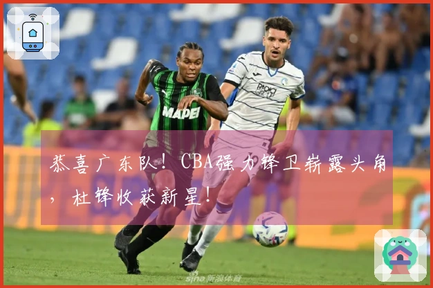 恭喜广东队！CBA强力锋卫崭露头角，杜锋收获新星！