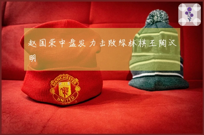 赵国荣中盘发力击败绿林棋王陶汉明