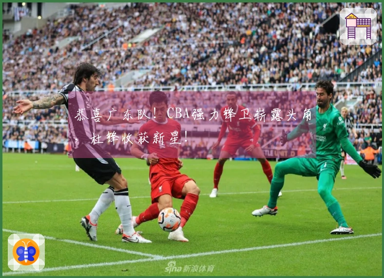 恭喜广东队！CBA强力锋卫崭露头角，杜锋收获新星！