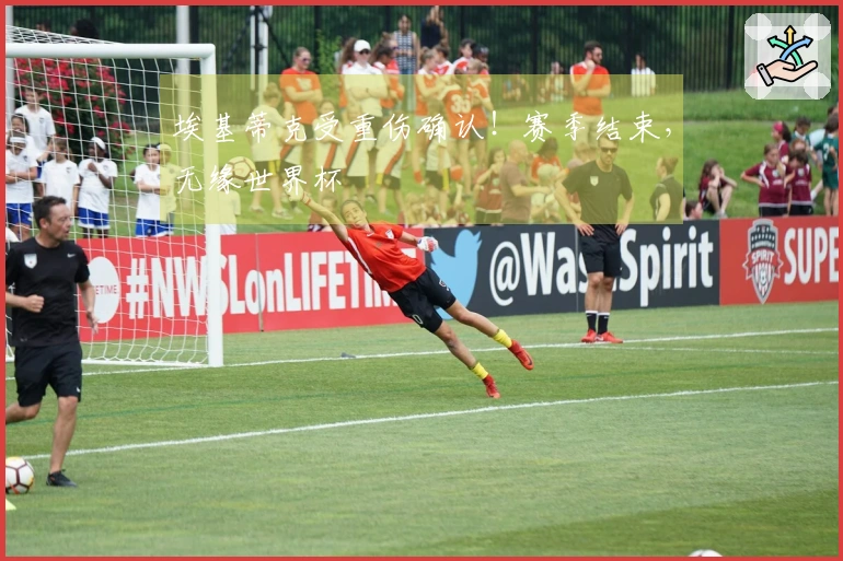 埃基蒂克受重伤确认！赛季结束，无缘世界杯