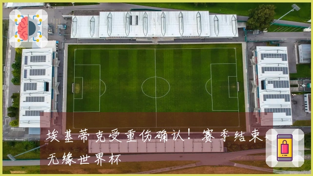 埃基蒂克受重伤确认！赛季结束，无缘世界杯