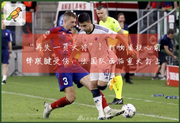“再失一员大将”！利物浦核心前锋跟腱受伤，法国队面临重大打击